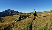 21 Al pianoro pascolivo del Monte Campo